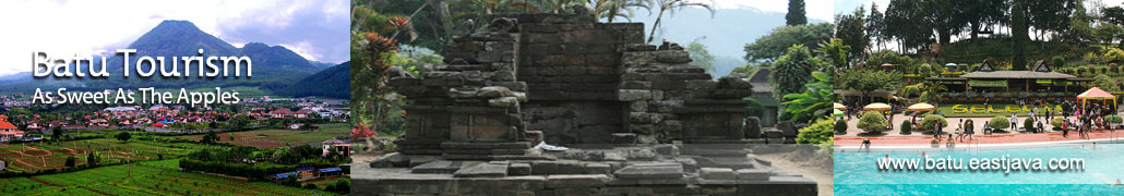 pic2