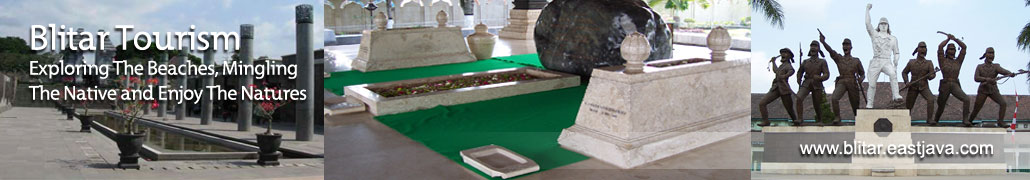 pic2