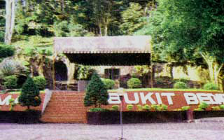bukit-bedadung.jpg