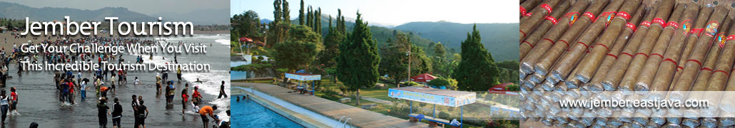 pic2