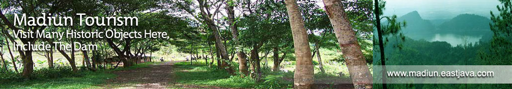 pic1