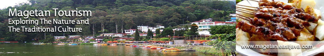 pic1