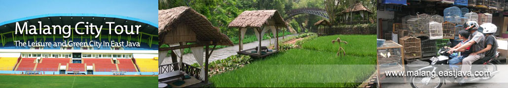 pic1