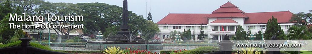 pic1