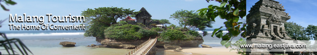 pic2