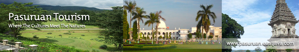 pic3