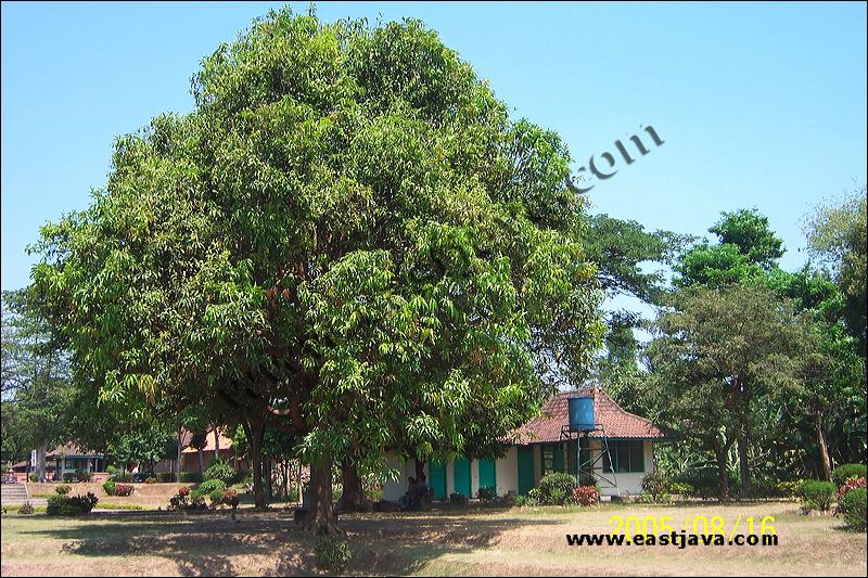 Around Bajangratu Temple