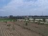 ../galleries/babat_barrage/preview/babat_barrage_06.jpg