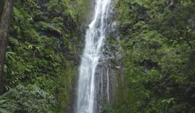 images/gallery/sedudo1/Sedudo_Waterfall_12.jpg