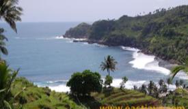 images/gallery/kali-uluh/kali-uluh-beach-pacitan-east-java-7.jpg