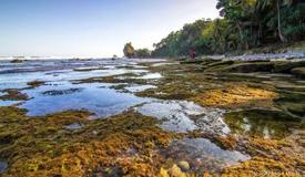 images/gallery/pidakan/pidakan-beach-pacitan-east-java-10.jpg