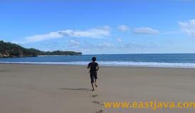 images/gallery/taman-beach/taman-beach-pacitan-east-java-5.jpg