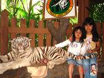 taman_safari_ii_08