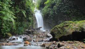 gallery/gallery_photos_ponorogo/coban-lawe1.jpg