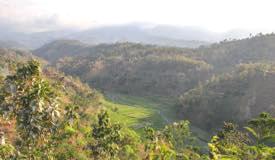 images/gallery/others/Sumber_Malang_Scenery_2.jpg