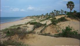 galleries/slopeng/preview/slopeng_beach_003.jpg