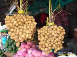 images/gallery/widodaren_fruit_market/pasar-widodaren-03.jpg