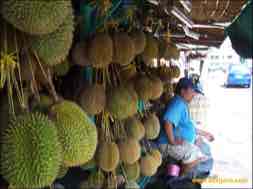 images/gallery/widodaren_fruit_market/pasar-widodaren-11.jpg