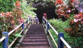 images/gallery/goa-lowo/gua-lowo-023.jpg