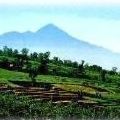 village in east java