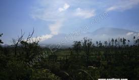images/gallery/coban-talun/coban_talun_12.jpg