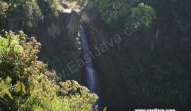 images/gallery/coban-talun/coban_talun_04.jpg