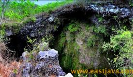 images/gallery/luweng-ombo/luweng-ombo-cave-pacitan-east-java-1.jpg