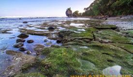 images/gallery/pidakan/pidakan-beach-pacitan-east-java-11.jpg