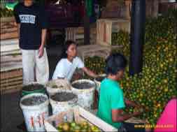 images/gallery/peneleh_fruit_market/peneleh-fruit-market-13.jpg