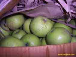 images/gallery/peneleh_fruit_market/peneleh-fruit-market-15.jpg
