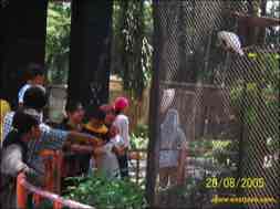 images/gallery/surabaya_zoo/surabaya-zoo-11.jpg