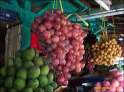 images/gallery/widodaren_fruit_market/pasar-widodaren-12.jpg