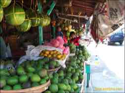 images/gallery/widodaren_fruit_market/pasar-widodaren-13.jpg